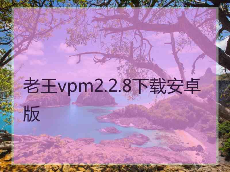 老王vpm2.2.8下载安卓版
