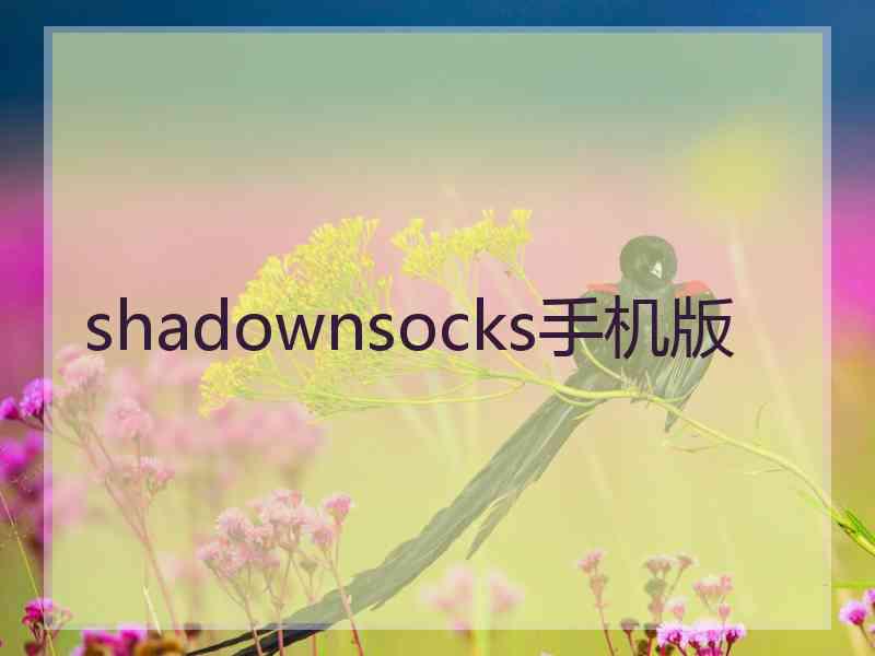 shadownsocks手机版