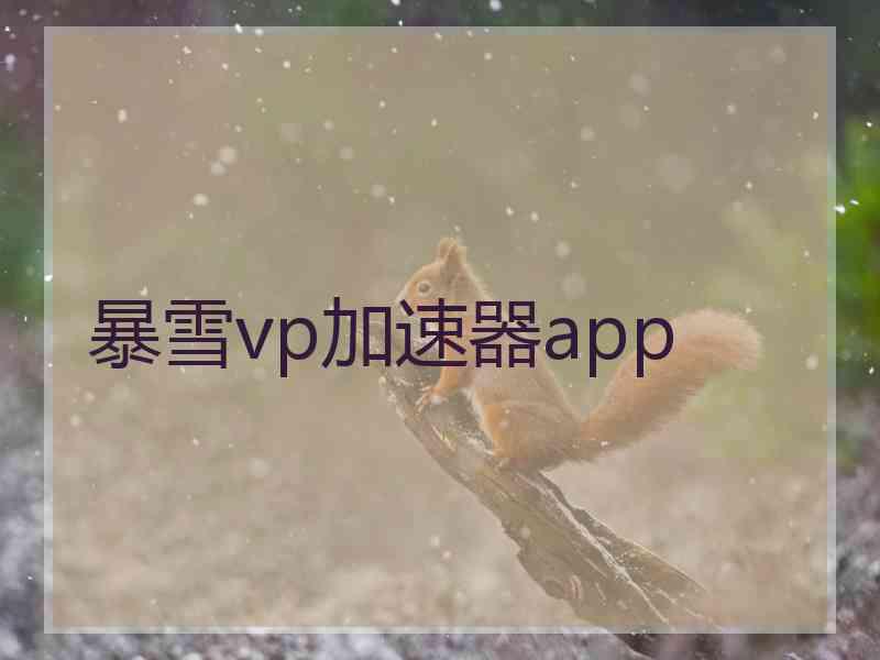 暴雪vp加速器app
