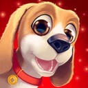 推特怎么加速