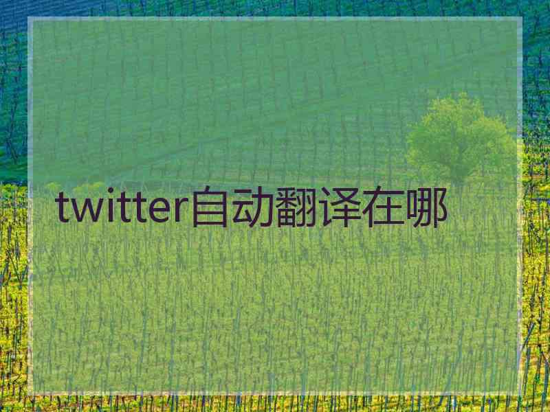 twitter自动翻译在哪