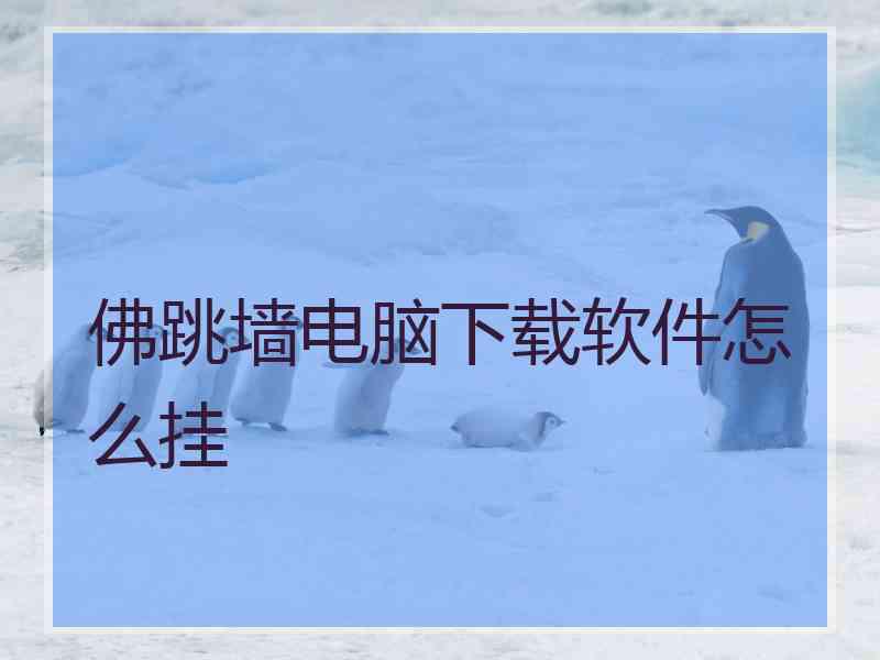 佛跳墙电脑下载软件怎么挂
