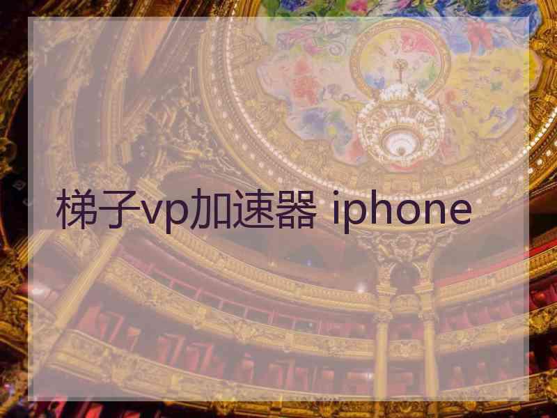 梯子vp加速器 iphone