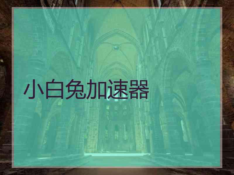 小白兔加速器