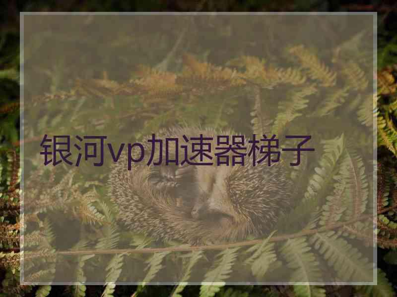 银河vp加速器梯子