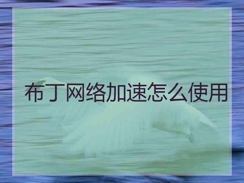 布丁网络加速怎么使用