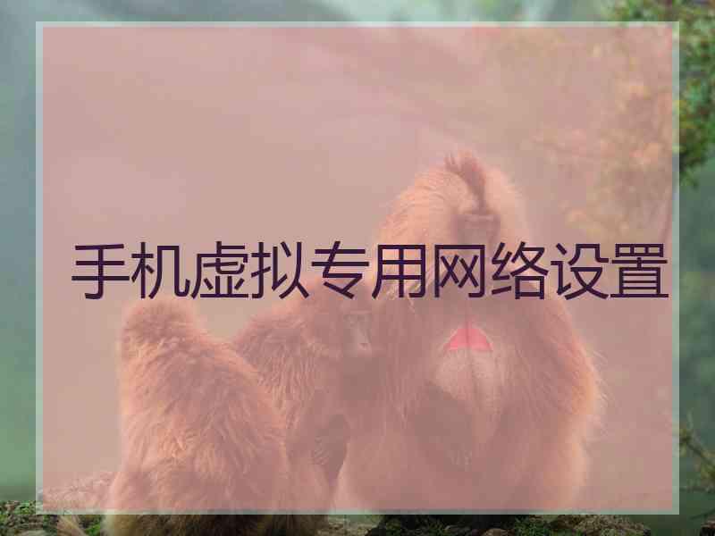 手机虚拟专用网络设置