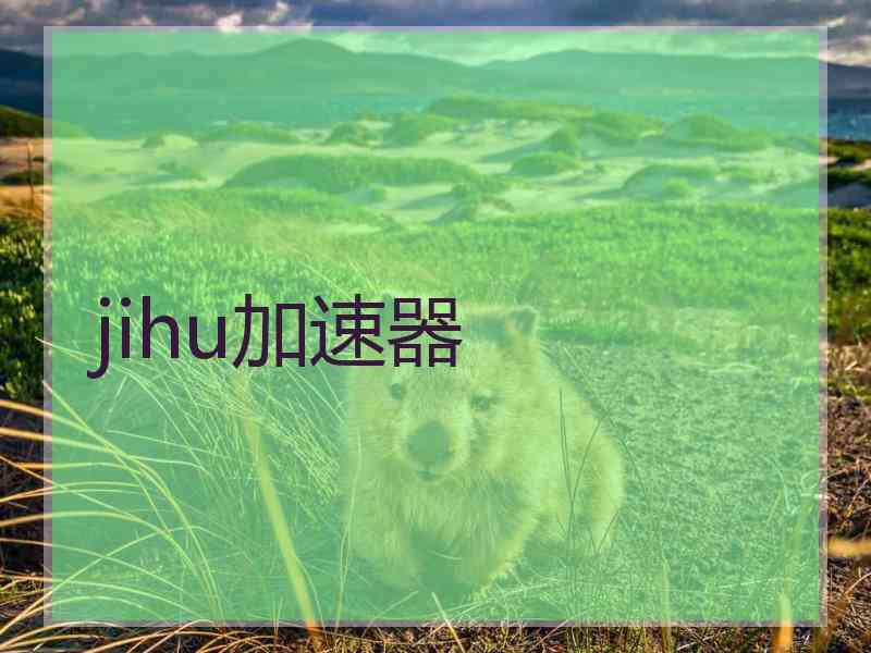 jihu加速器