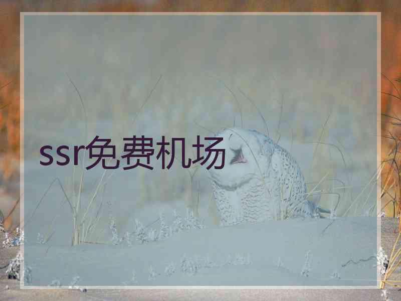 ssr免费机场