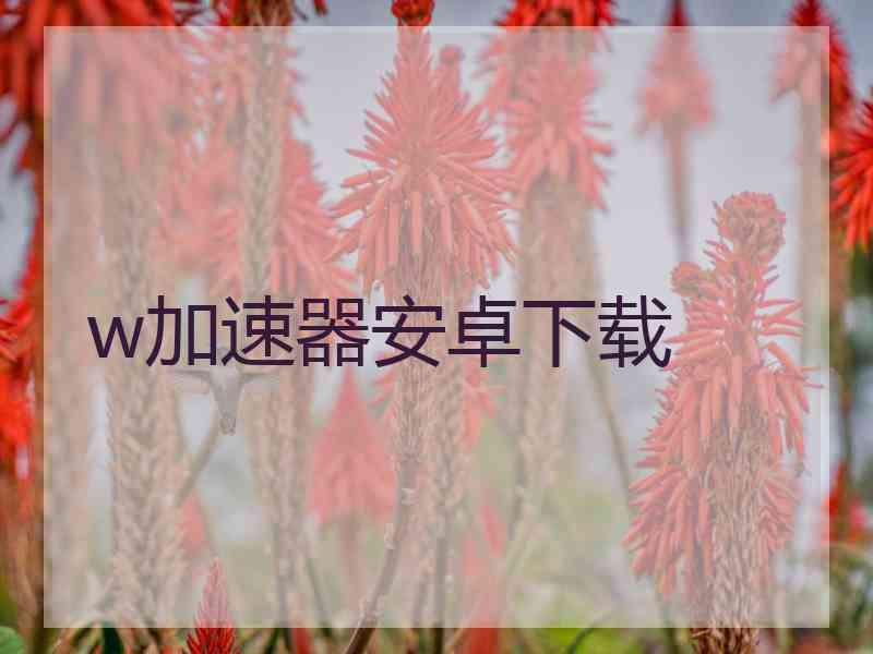 w加速器安卓下载