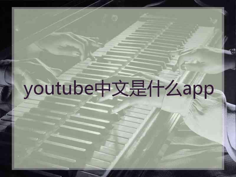 youtube中文是什么app
