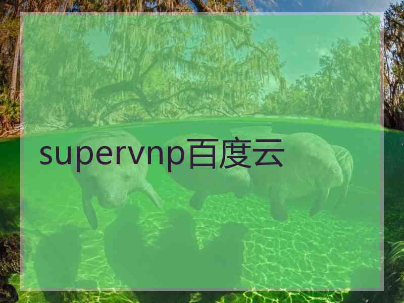 supervnp百度云