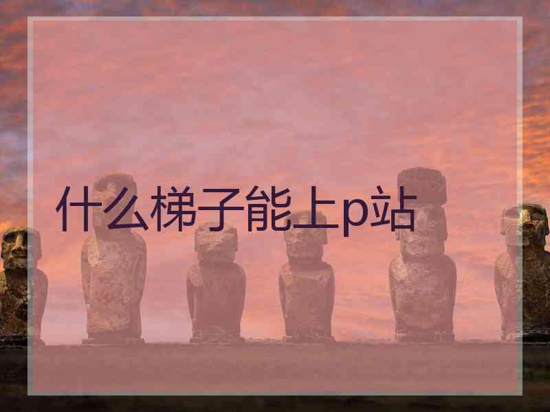 什么梯子能上p站