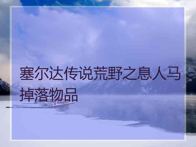 塞尔达传说荒野之息人马掉落物品