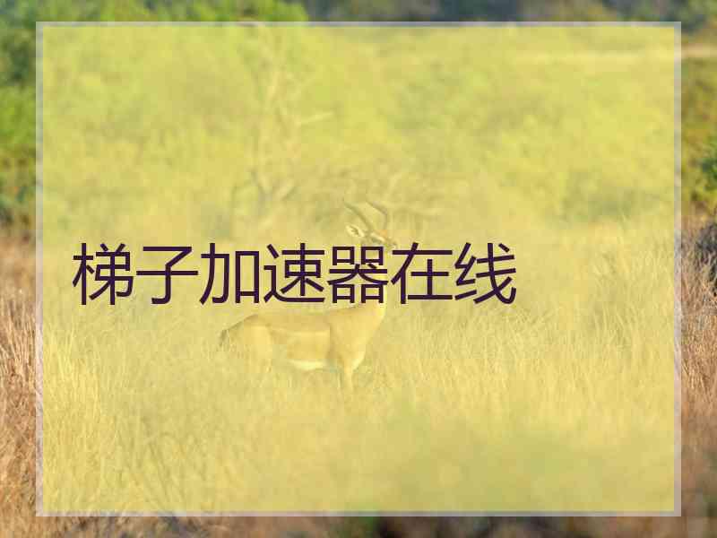 梯子加速器在线
