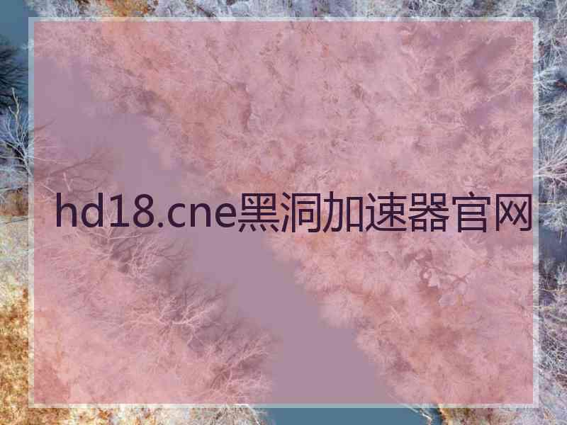 hd18.cne黑洞加速器官网