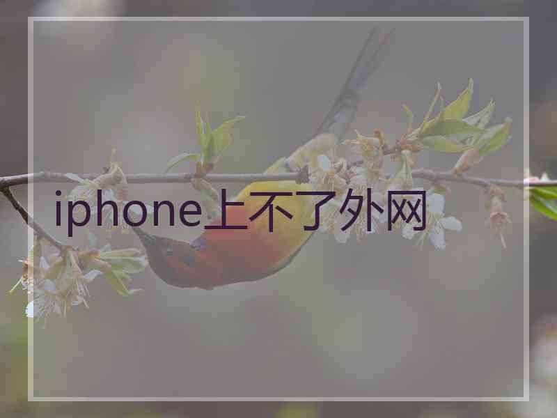 iphone上不了外网