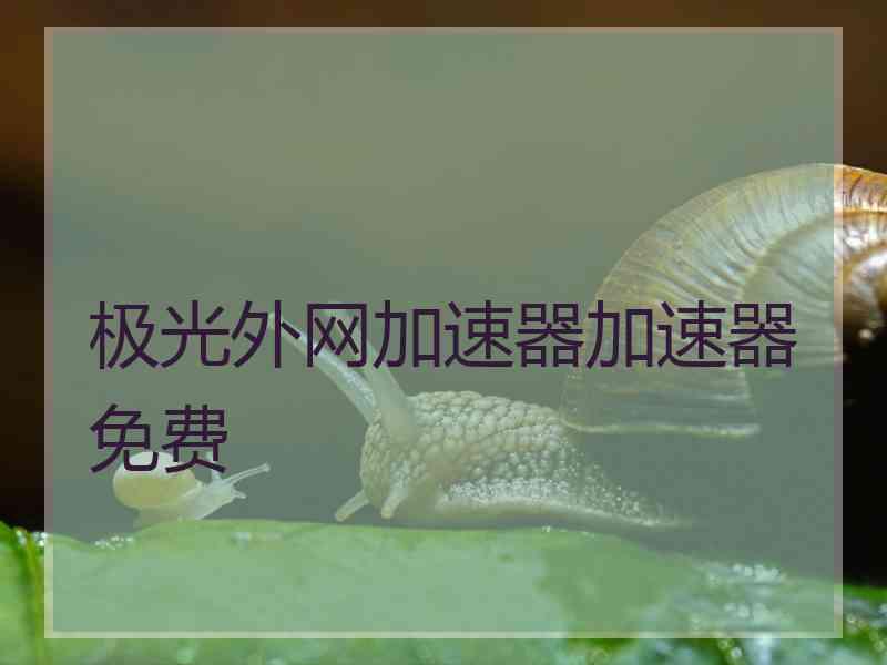 极光外网加速器加速器免费