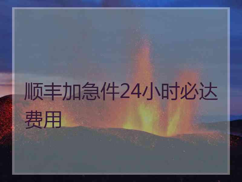 顺丰加急件24小时必达费用
