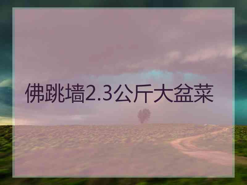 佛跳墙2.3公斤大盆菜