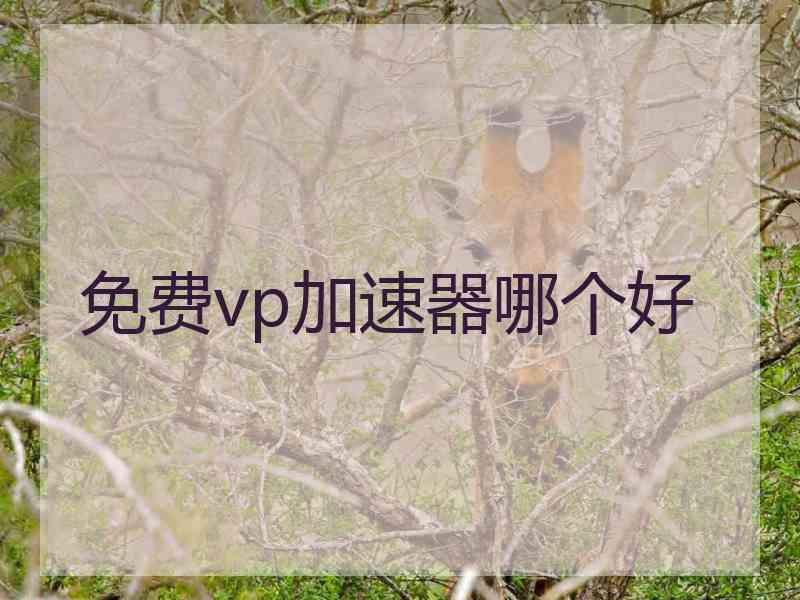 免费vp加速器哪个好