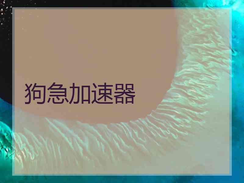 狗急加速器