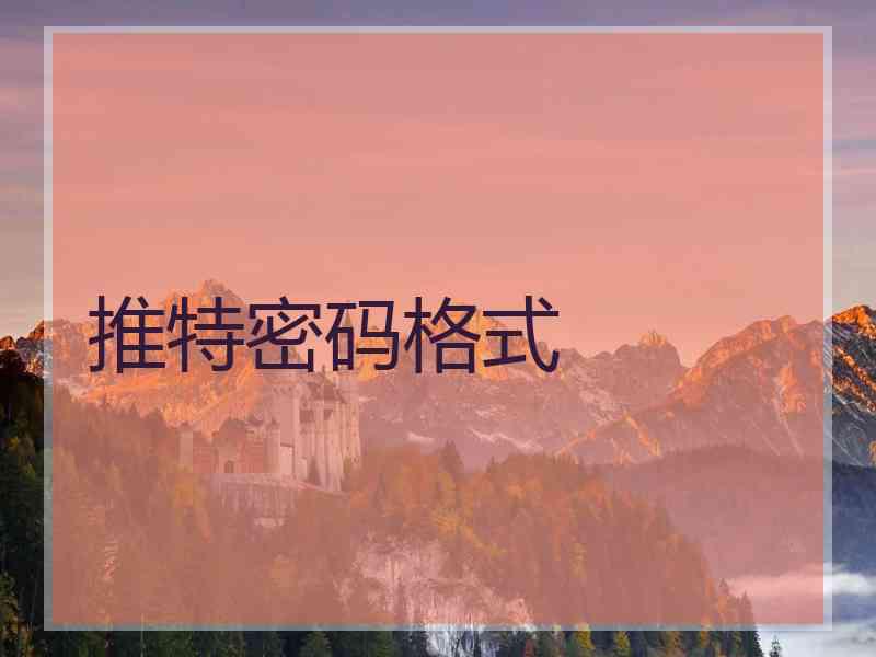 推特密码格式
