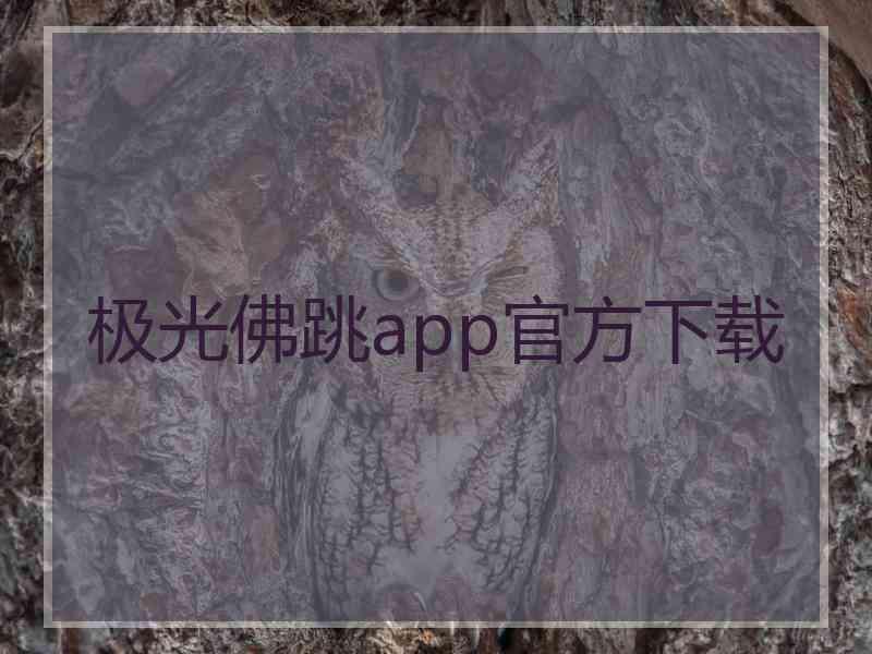 极光佛跳app官方下载