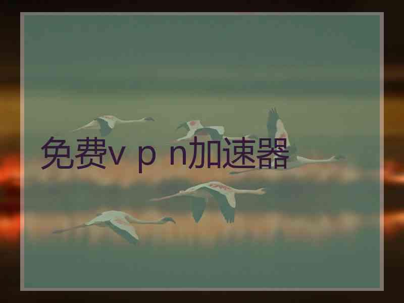 免费v p n加速器