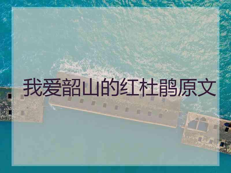 我爱韶山的红杜鹃原文