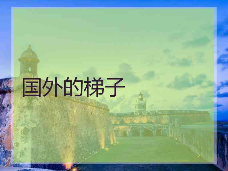 国外的梯子