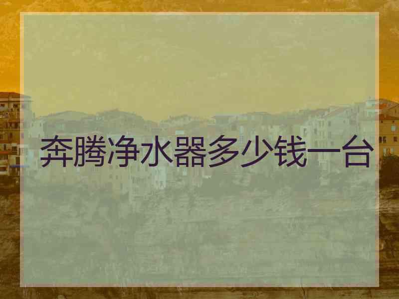 奔腾净水器多少钱一台
