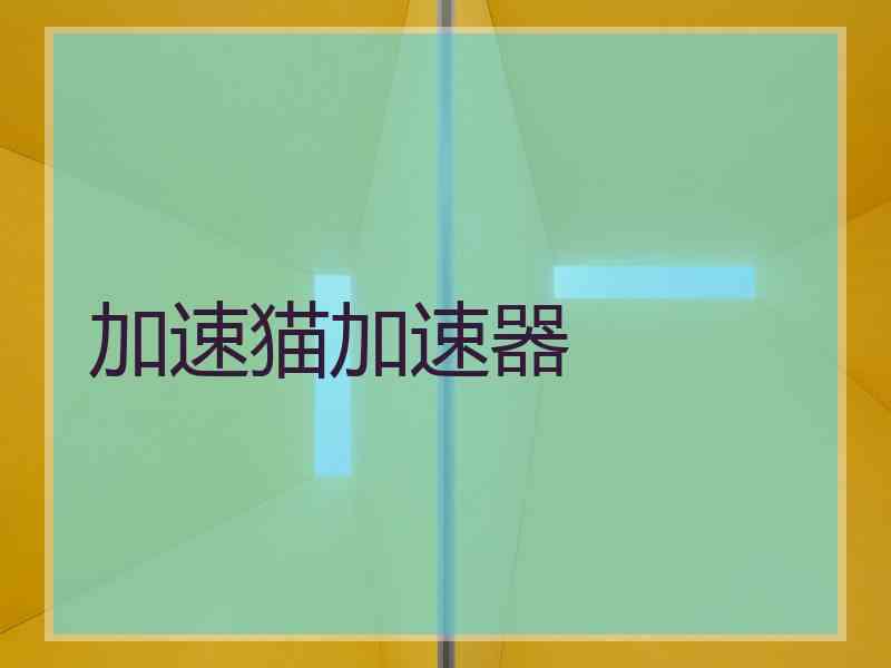 加速猫加速器