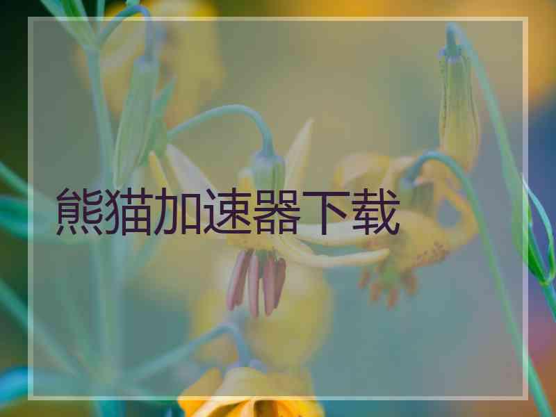 熊猫加速器下载