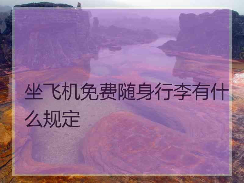 坐飞机免费随身行李有什么规定