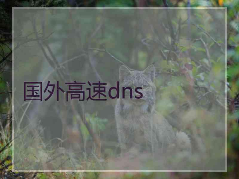国外高速dns
