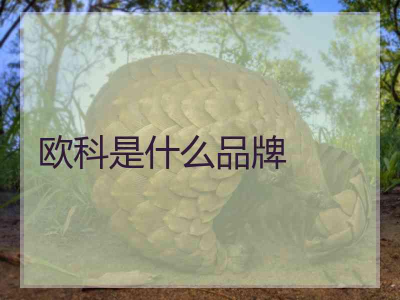欧科是什么品牌