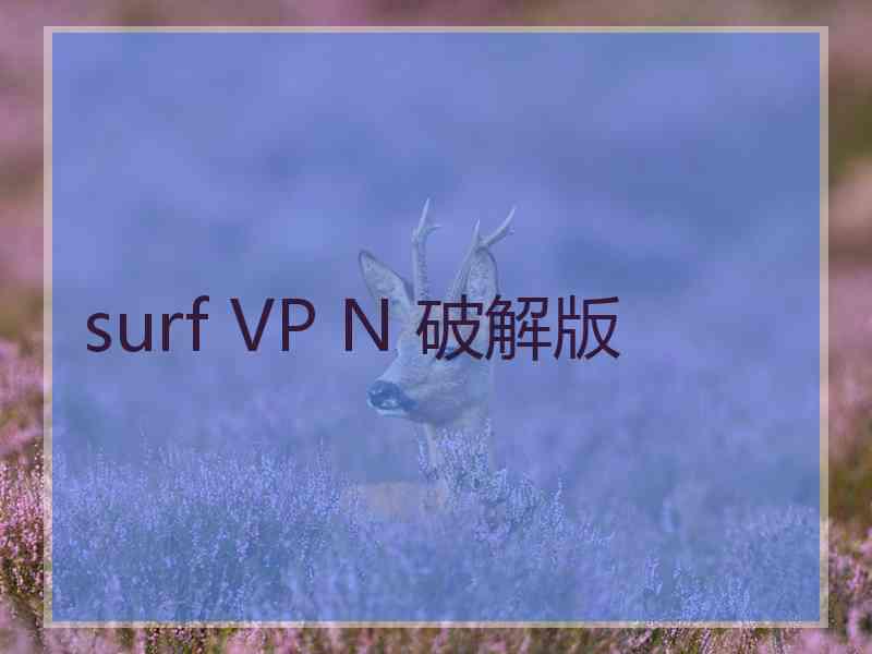 surf VP N 破解版