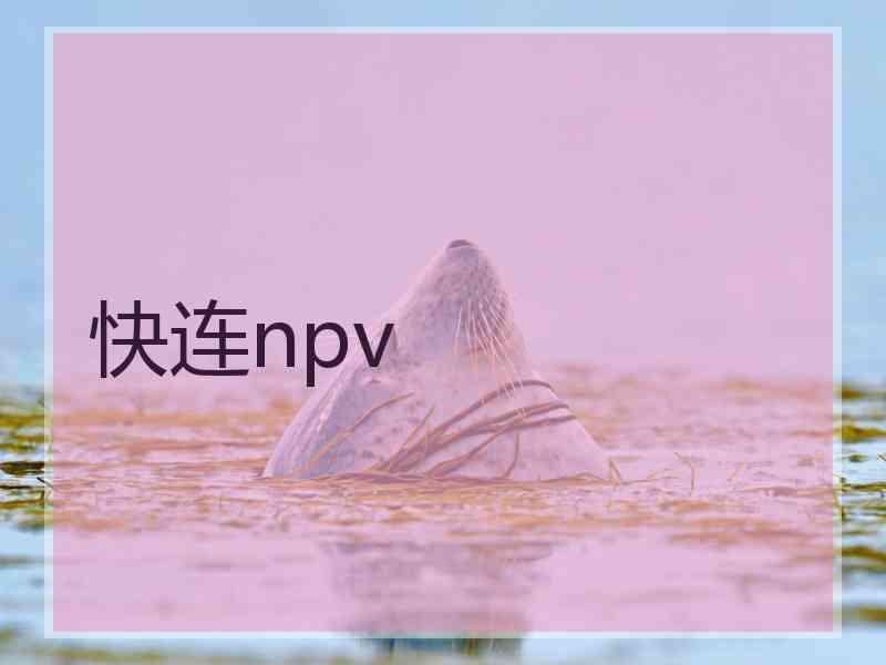 快连npv