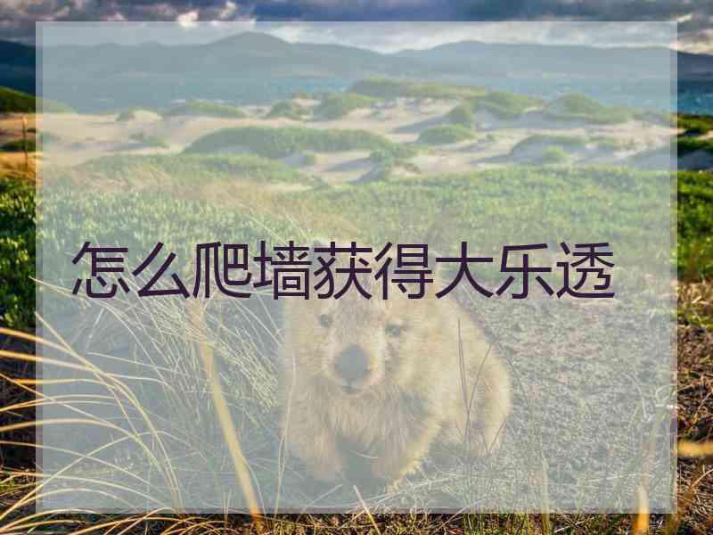 怎么爬墙获得大乐透