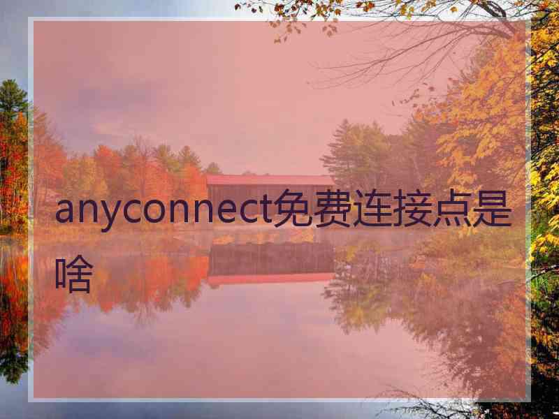 anyconnect免费连接点是啥