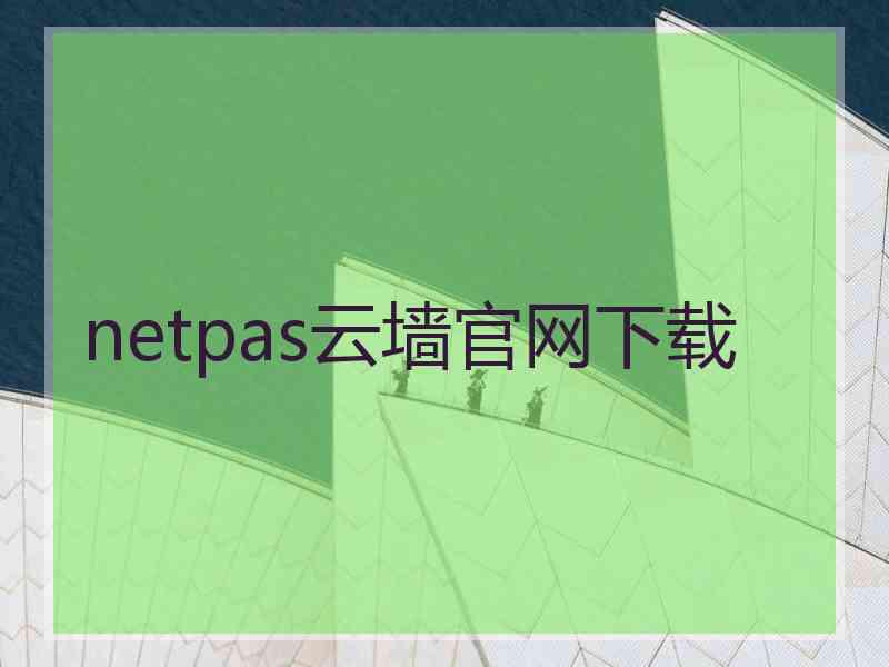 netpas云墙官网下载