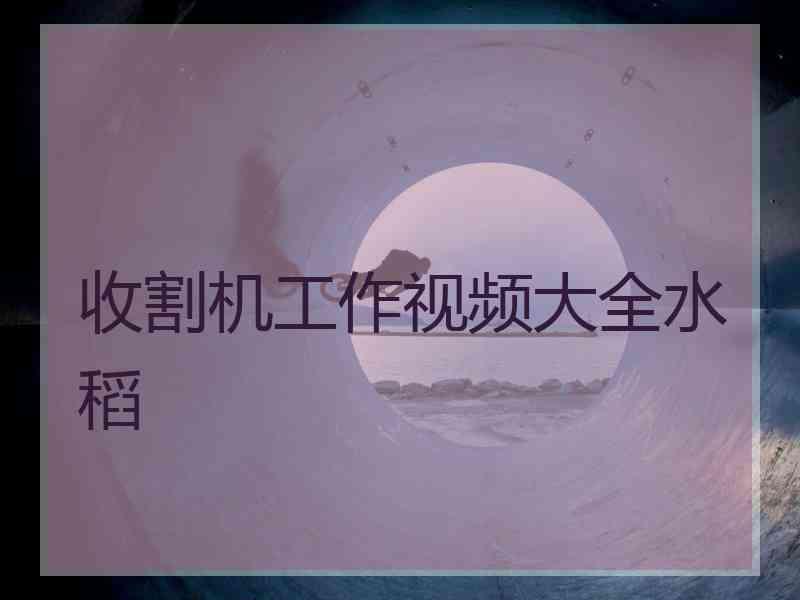 收割机工作视频大全水稻