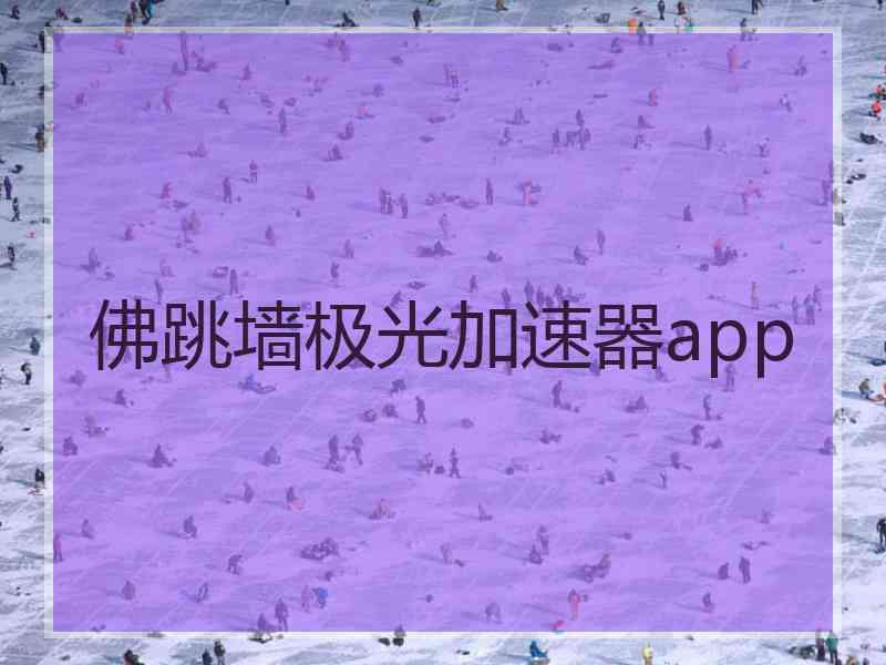 佛跳墙极光加速器app