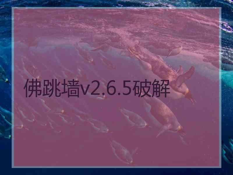佛跳墙v2.6.5破解