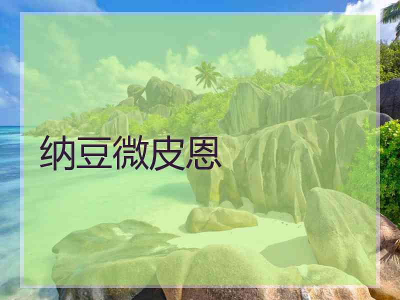 纳豆微皮恩