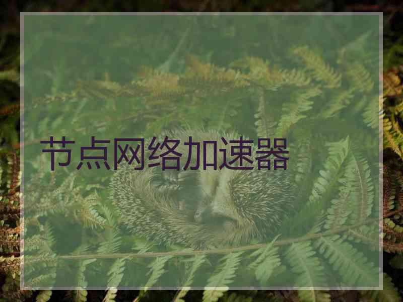 节点网络加速器