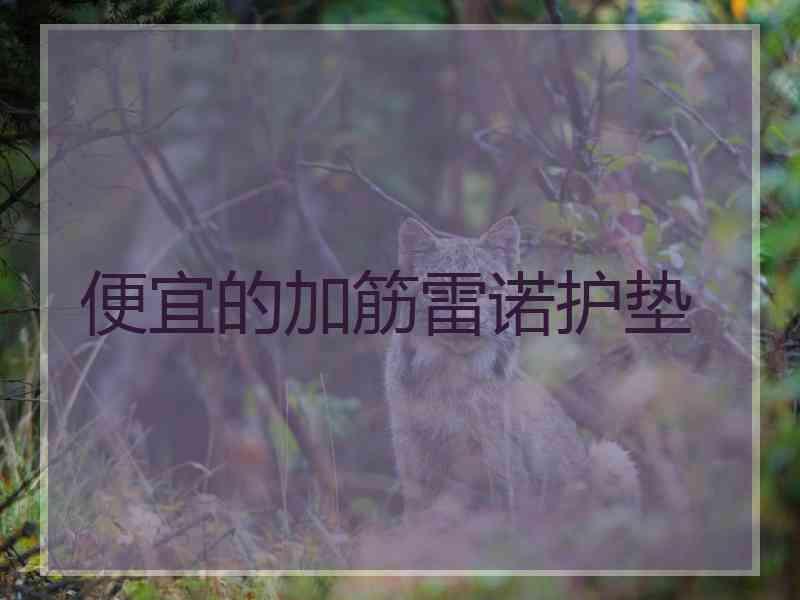 便宜的加筋雷诺护垫