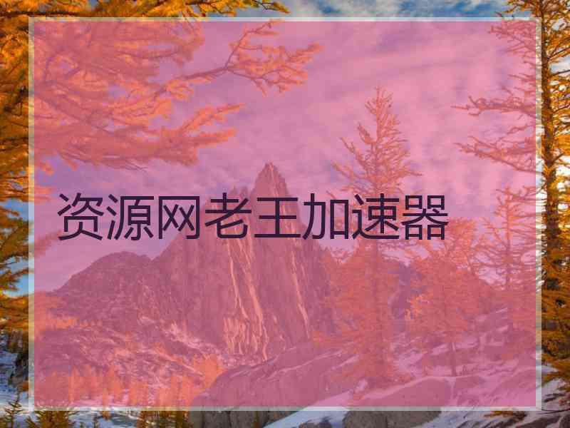 资源网老王加速器