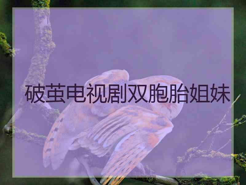 破茧电视剧双胞胎姐妹